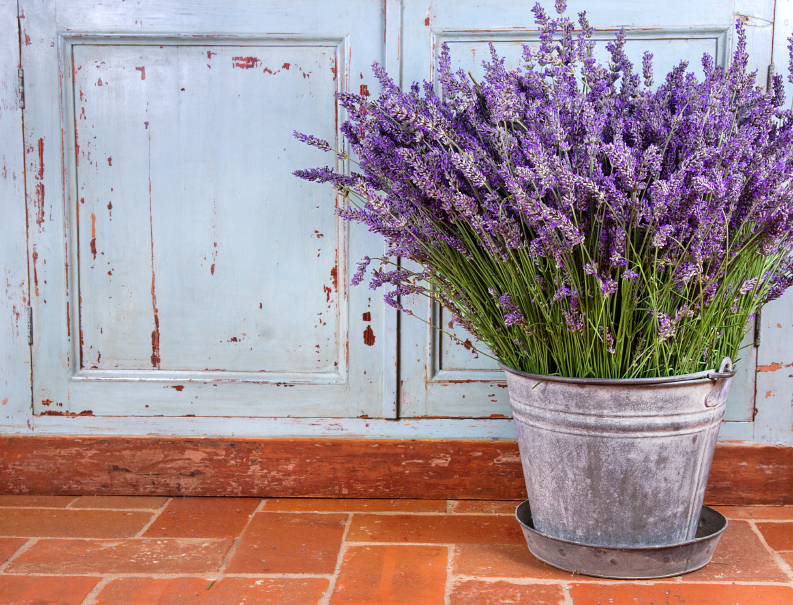 Bouquet of lavender in a rustic setting